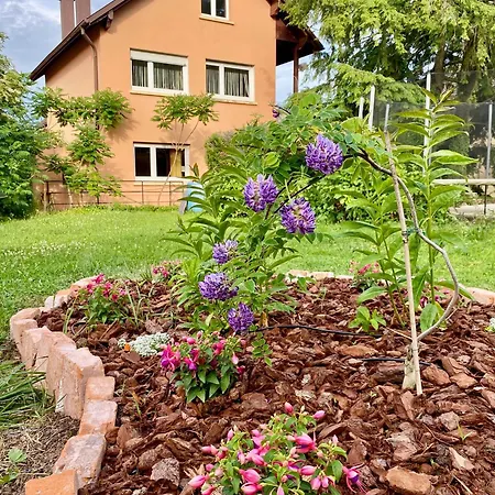 Apartament La Hortensia